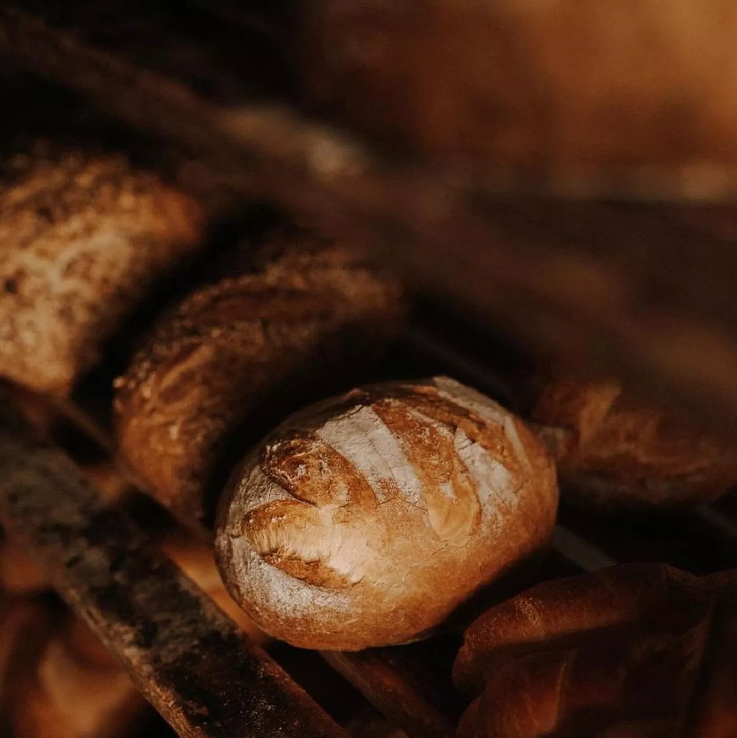 Brot frisch